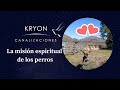 Kryon y los perros