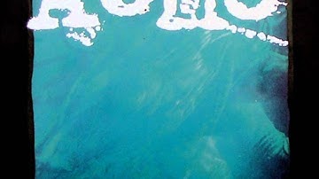 Acme - ...To Reduce The Choir To One Soloist [1996, Full LP, Edison Recordings]