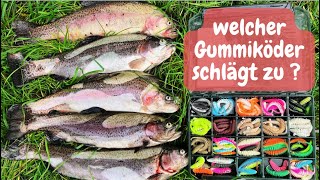 Ultra light Angeln Forellenangeln mit Gummiköder Lachsforellen Libra Lure Garlstedter Fischzucht