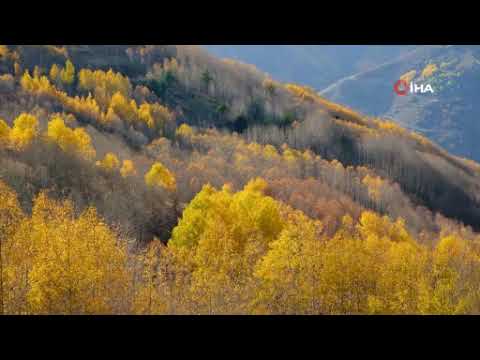 Gümüşhane Sonbahar Renkleriyle Kartpostallık Oldu