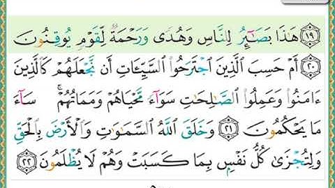 سورة الجاثية الشيخ ناصر القطامي