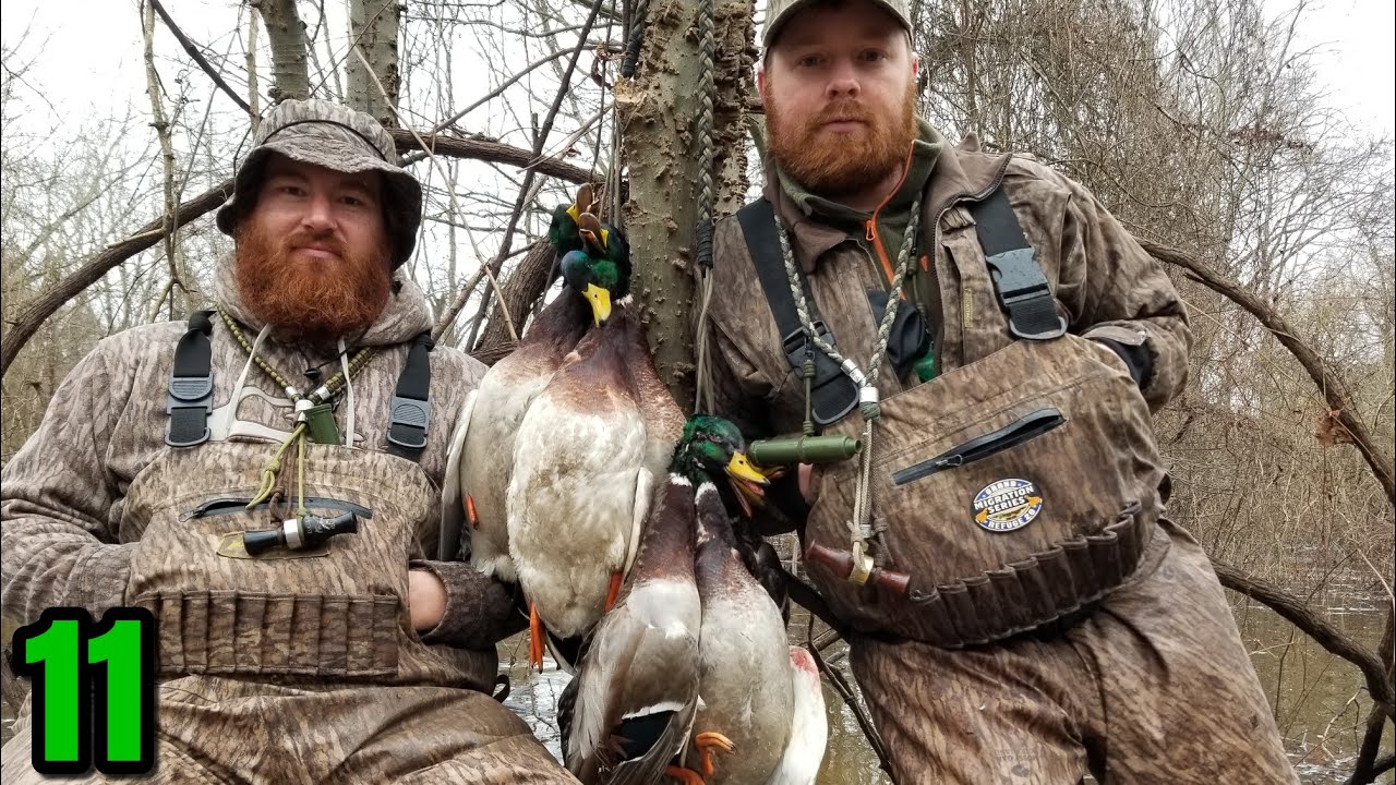 Timber Mallards (It Took a Lot of Calling) YouTube