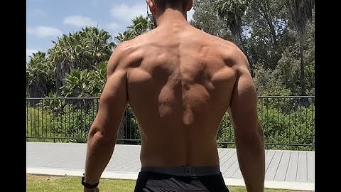 The plan for doubling your max pull ups!