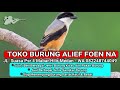 Suara Pikat Burung Cendet Paling Ampuh Full isian(.mp3 .mp4) Mp3 - Mp4 Download