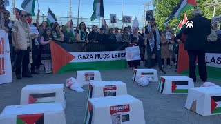 Thousands march once again in Switzerland and Austria in support of the Palestinian people