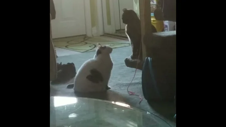 Im Tired Of Your Crap And Im Not Taking It Anymore