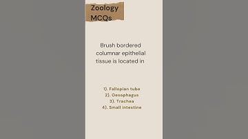 Structural Organisation in Animals | Class 11 | Zoology MCQs | Neet 2023-24 | Daksh Kunj