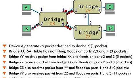 Spanning Tree Protocol - 8 : Packet Flooding & No Spanning Tree