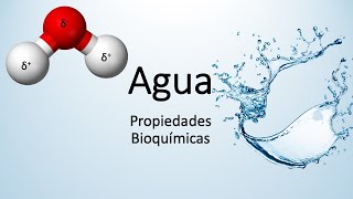 Agua: Propiedades bioquímicas