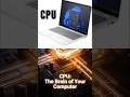 CPU IS THE BRAIN OF CUMPUTER #coding #technology #computerbasics #ai