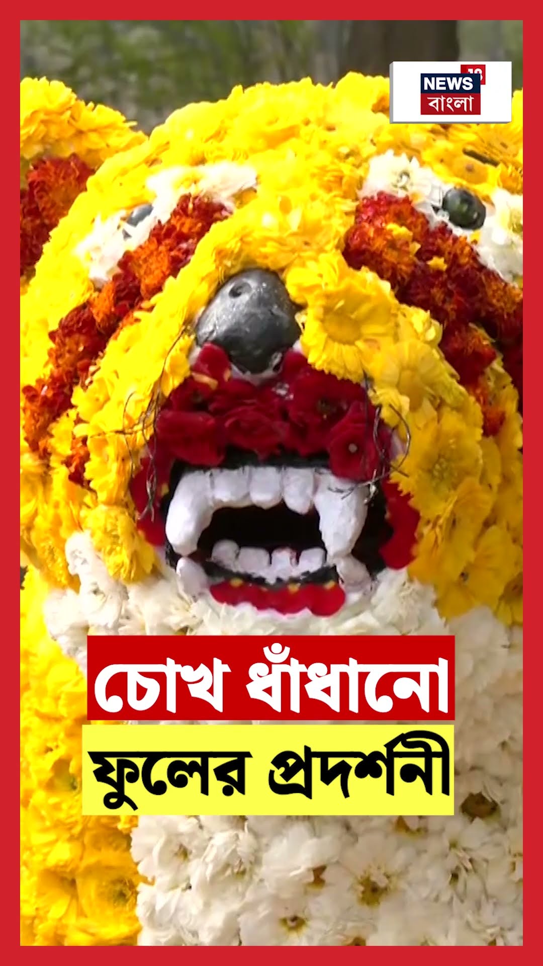 Delhiতে চোখ ধাঁধানো ফুলের প্রদর্শনী | N18S #shorts