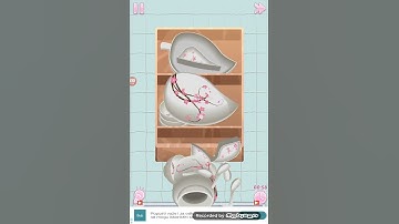 Perfect Tidy Level 66 Walkthrough