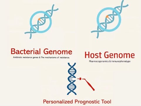 7664 | Pharmacogenomics in the Treatment of Bacterial Infections | A Personalized Prognostic Tool