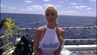 Porn Star Attacked By Shark During Underwater Photoshoot