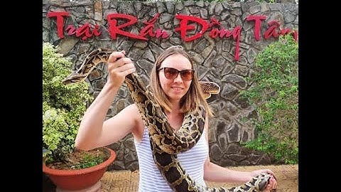 Khám Phá Trại Rắn Lớn Nhất Đông Nam Á " Trại Rắn Đồng Tâm" || Mỹ Tho _ Tiền Giang 2024