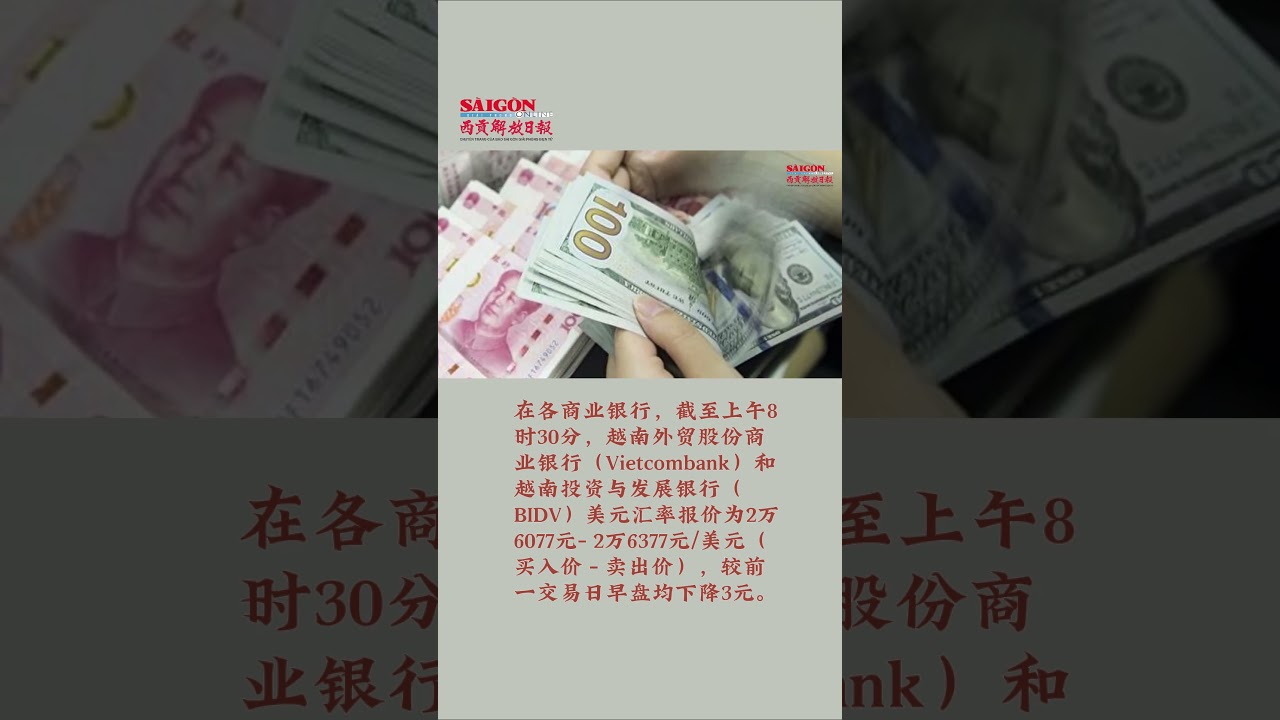 今日汇率：12月31日越南市场美元价格和人民币价格涨跌互现Tỷ giá hôm nay 31/12: Giá USD và NDT tăng,  giảm trái chiều - YouTube
