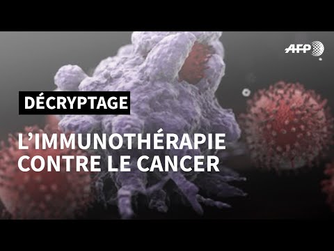 Vidéo: L'immunothérapie permettrait-elle de guérir le cancer ?