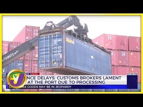 Clearance Delays at the Ports Due to Processing | TVJ News