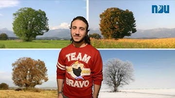 Tarek Bizri 20122196 CSC 202 Final Project .mp4