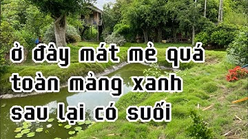 anh nhiều cần tiền giảm giá bán rẻ khu vườn tâm huyết của mình ở châu đức bà rịa vũng tàu