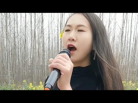 一首情歌《来生再续缘》，爱来爱去身不由己，好听感人
