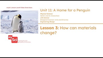 Unit 11 Lesson 3 Video