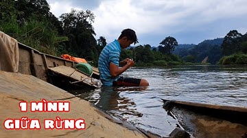 Sang Vlog Một Mình Ở Giữa Rừng | 5 Ngày Bắt Cá Trong Rừng Già ( phần 1 )