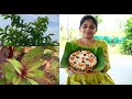 ఒక వారం రోజులు నా కోసం నేను, నాతో నేను|| పిజ్జా దిబ్బరొట్టె తయారీ విధానం|| Pizza Attu Recipe