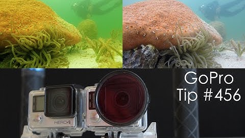 Green Water Underwater Comparison with Magenta Filter - GoPro Tip #456 | MicBergsma