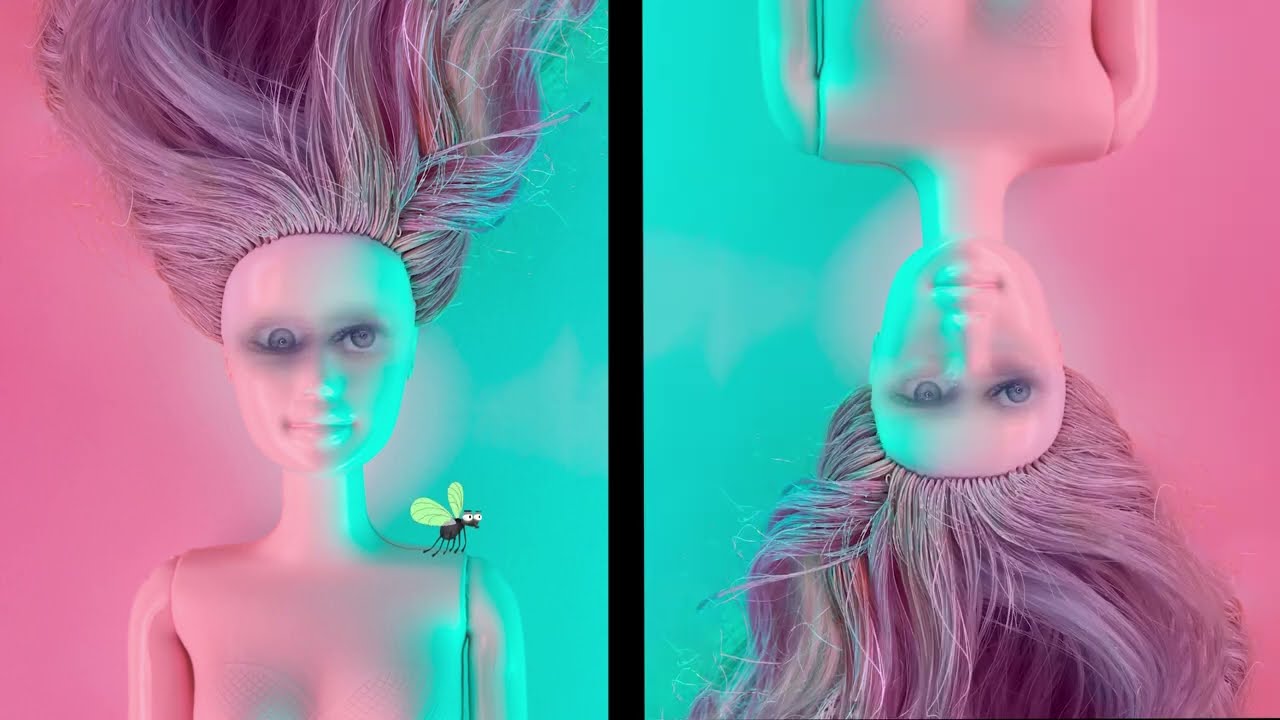 Fly_ Videoart_ Browns Heads Project