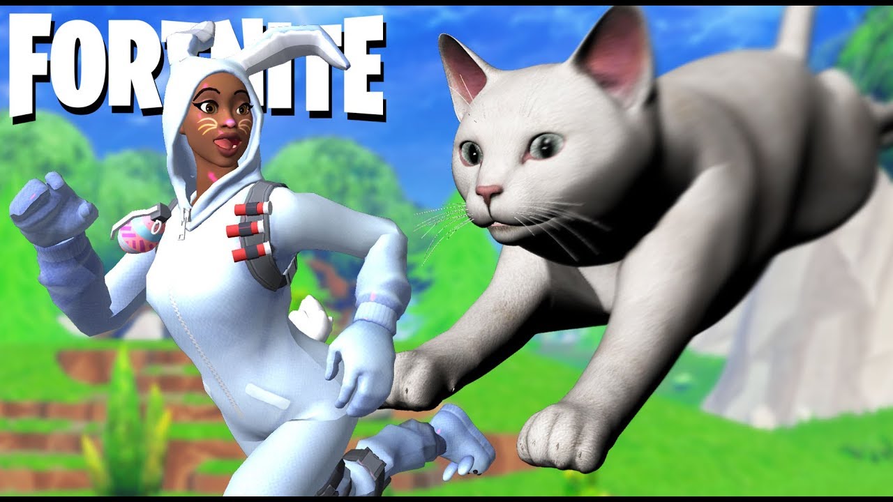 EL RATÓN Y EL GATO - Fortnite - Nexxuz ark survival evolved admin commands