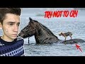 Уродливый кот #3 | ПОПРОБУЙ НЕ ПУСТИ СЛЕЗУ | TRY NOT TO CRY CHALLENGE