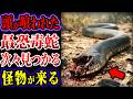 【ゆっくり解説】怪物の好物は、毒蛇の頭部...頭が消えた最恐毒蛇「ブラックマンバ」次々見つかる...犯人の正体がヤバい...!!! 【UMA・未確認生物】