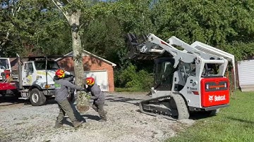Massive Willow Oak Removal with Crane | Patio deck was built around this tree 20 years ago