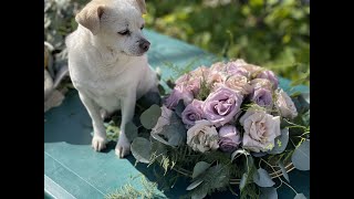 Fresh Garden Rose Arrangement