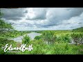 African Skies. Kruger Episode 3