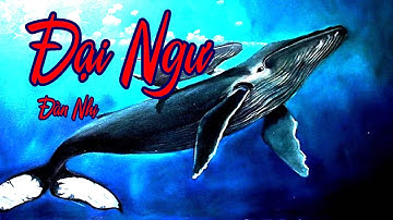 ĐẠI NGƯ - CÁ LỚN - ĐÀN NHỊ VS PIANO