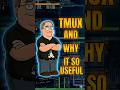 TMUX, a MUST-HAVE for 10x ENGINEERS!  #familyguy #devopsengineering #funny  #memes #cprogramming