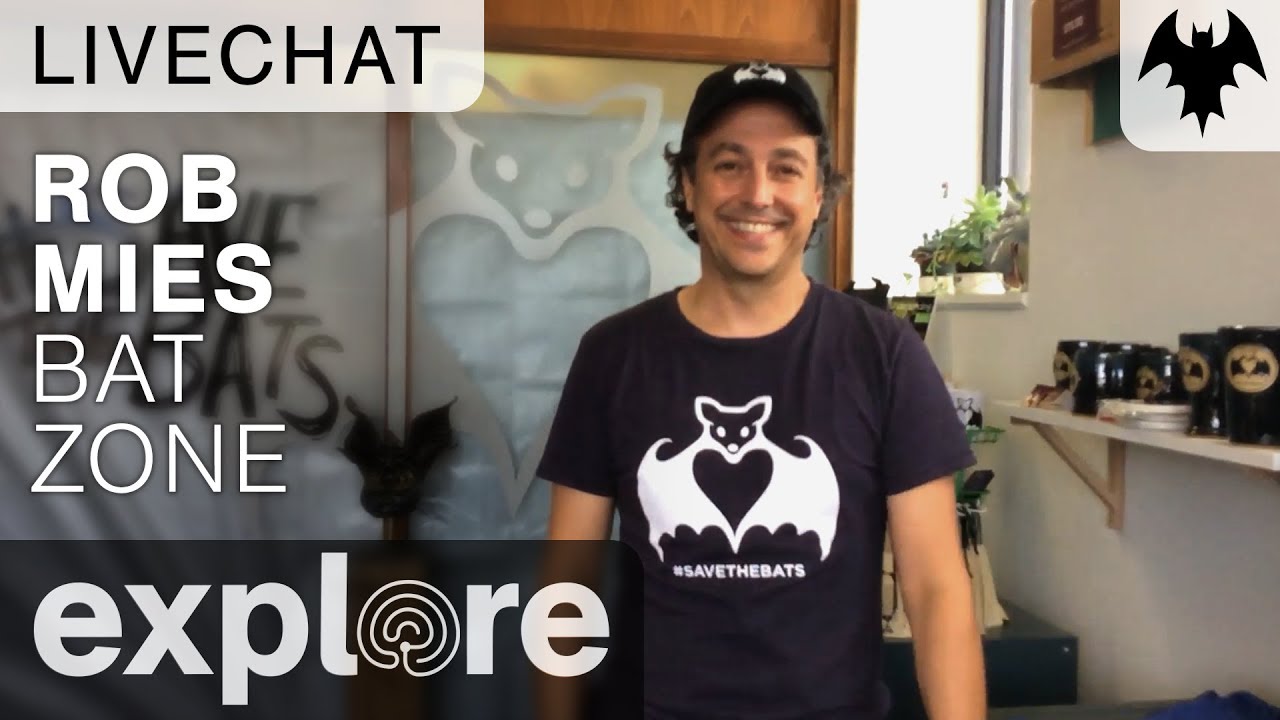 Rob Mies - Organization For Bat Conservation - Live Chat - YouTube