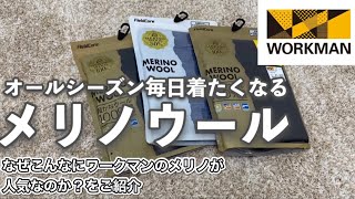 【ワークマンお値段以上のメリノウールアンダーウェア2021】春夏秋冬1年中使える万能素材！