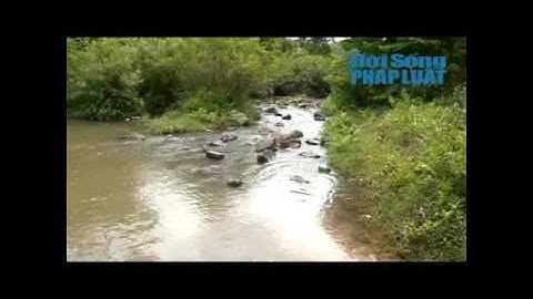 Nỗi lo nước sạch khi sử dụng thuốc diệt cỏ tràn lan