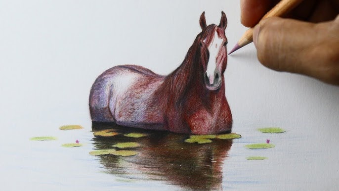 Desenhando um cavalo 