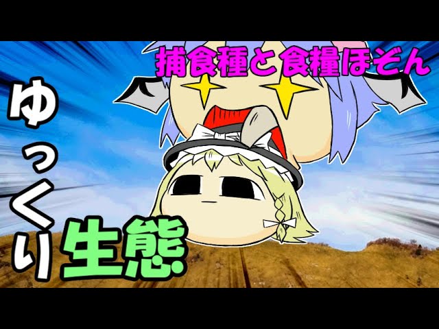 Yukkuri ecology】Predatory species and food preservation. - YouTube