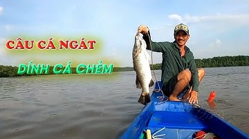 Vô Mánh Cá Chép Cá Ngát Cùng Con Gái Xinh | Tập 86 | Một Cần Giờ