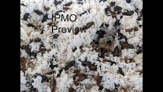 IPMO Indigenous Pest Management Organisms Preview Trailer