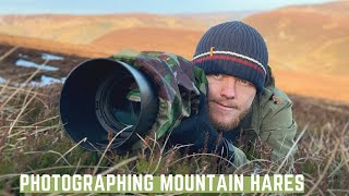 Mountain Hares Photography in Scotland | Wildlife Photography