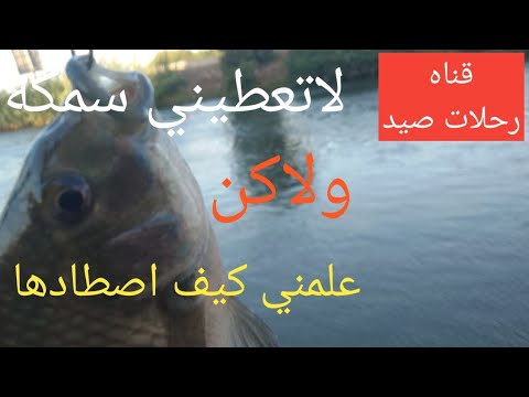 لا تعطيني سمكه لاكن علمني كيف اصطادها