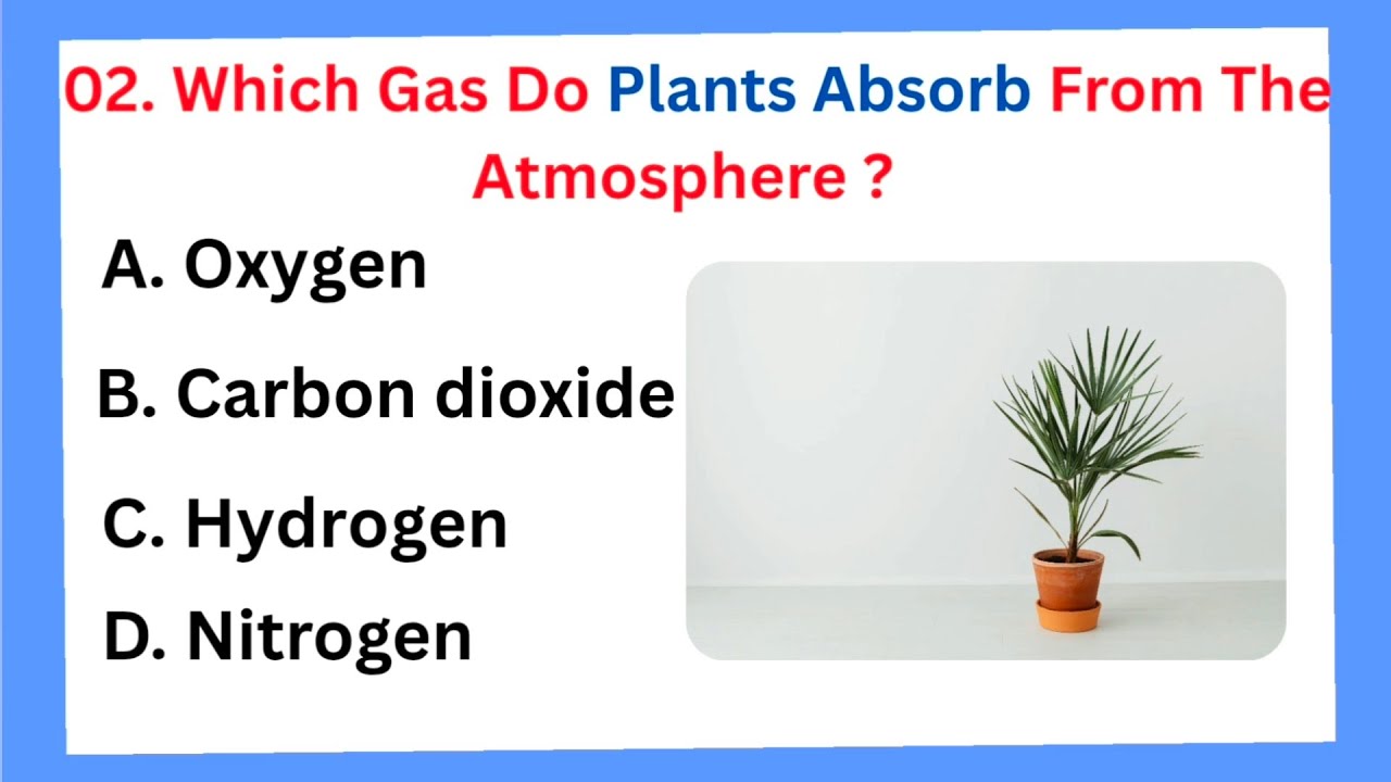 The Ultimate General Knowledge Battle! 