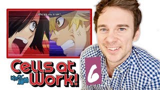 Real DOCTOR reacts to CELLS AT WORK! // Episode 6 // "Erythroblasts and Myelocytes"