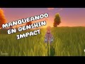 Manqueando en Genshin Impact